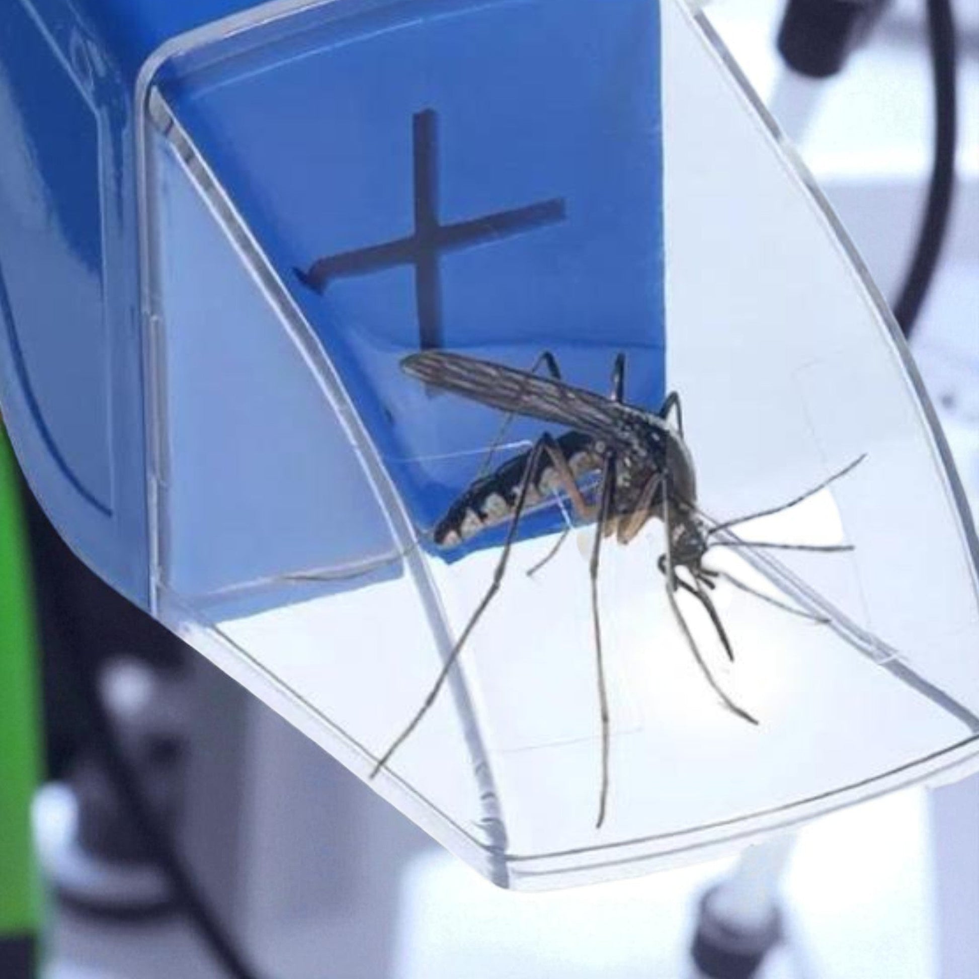 Attrape Insecte - BugCatcherSafe™ - Bleu - STOP RONGEURS et INSECTES